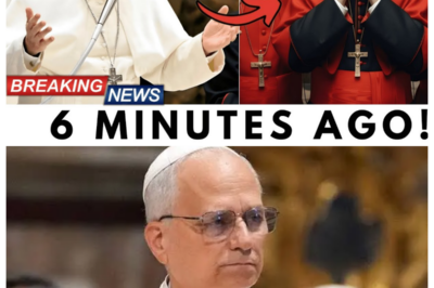 Pope Leo XIV Cancelled The Ceremony — And The Reason Will Leave You Speechless