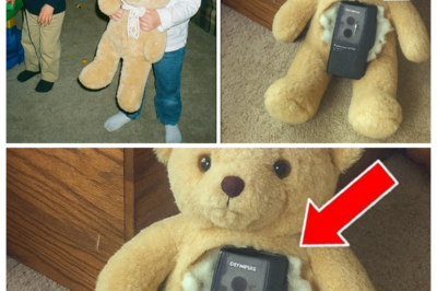 Girl Vanished From Her Living Room in 1998 — 16 Years Later Her Brother Cuts Open Her Teddy Bear…