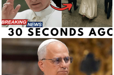 THEY TRIED TO DRAG POPE LEO XIV TO THE THRONE — AND HE THREW HIMSELF ON THE GROUND