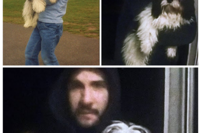 Girl Vanished Playing With Her Dog — 6 Months Later, a Stranger Shows Up With Her Dog... 6p