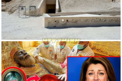 King Solomon’s Tomb Finally Opened After 5,000 Years — What Was Discovered Will Leave You Stunned 😱 After 5,000 years of secrecy, King Solomon’s tomb has finally been opened, and the discovery inside is far more shocking than anyone expected. What ancient secrets and treasures were hidden within the tomb, and how could they rewrite history? This unprecedented find has stunned archaeologists and historians, revealing mysteries that have remained buried for millennia. Get ready for a revelation that will change everything. 👇
