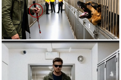 Blind Veteran Meets the Most Dangerous Retired Police Dog — What the Dog Did Next Shocks Everyone!