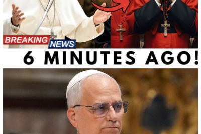 Pope Leo XIV Cancelled The Ceremony — And The Reason Will Leave You Speechless