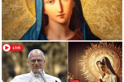 POPE LEO XIV SAYS THE VIRGIN MARY WAS MISUNDERSTOOD FOR CENTURIES — AND THE VATICAN IS IN COMPLETE CHAOS  A stunning claim attributed to Pope Leo XIV has sent shockwaves through the Catholic world, as he reportedly stated that the Virgin Mary has been deeply misunderstood for centuries. Insiders say the remark has triggered intense debate among cardinals, theologians, and scholars, with emergency meetings and growing divisions inside the Vatican. WHAT exactly was misunderstood? Why is this revelation emerging now—and how could it reshape Marian devotion, doctrine, and centuries of belief? As confusion and controversy spread, many are calling this one of the most destabilizing moments in modern Church history. CLICK THE ARTICLE LINK IN THE COMMENTS to uncover what was said, why it matters, and why the Vatican is struggling to contain the fallout.