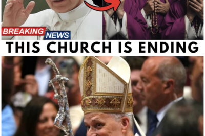 🕊️ Cardinals accuse Pope Leo XIV of breaking sacred law — his reply leaves them visibly shaken