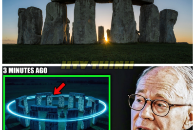 SHOCKING DISCOVERY: Scientists Uncover Hidden Pattern in Stonehenge — And It Wasn’t Made for Humans Outside the Circle! 🏰💥 Who Was It Really For? In a groundbreaking revelation, scientists have uncovered a hidden pattern within Stonehenge that has left the world in shock. The twist? It wasn’t designed for humans standing outside the famous stone circle. What could this mysterious pattern mean, and who was it really made for? The implications of this discovery are so mind-bending that they could change everything we thought we knew about the ancient site. Prepare for a revelation that will rock history to its core. 👇