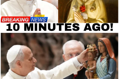 The Statue of Mary Wept Blood During Mass—And Pope Leo XIV Refused to Stop the Ceremony