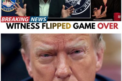 Trump’s Defense COLLAPSES Overnight — Star Witness FLIPS With Recordings & Immunity