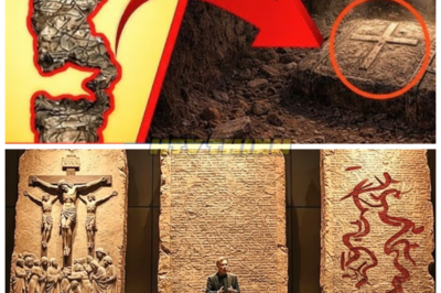 💥 Shocking Discovery: Archaeologists Unveil Jesus’ Missing Words — The Truth Will Stun You! 💥 Archaeologists have just made a game-changing discovery — the missing words of Jesus. But what they reveal isn’t the good news the world was hoping for. Experts are now warning that these newly uncovered texts could rewrite history and shake religion to its core. What do these words reveal, and why is it being called “bad news”? The answer is more terrifying than you can imagine.👇