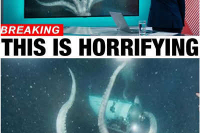 Shocking Discovery Beneath the Waves: Scientists Record Ocean Depths Beyond 12,000 Meters, But What They Found Will Terrify You