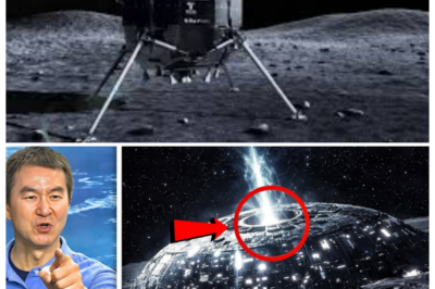 🚨 “THEY KNEW ALL ALONG” — JAPANESE SCIENTISTS FINALLY BREAK SILENCE ON NASA’S MOON MISSIONS… AND THE REVELATION IS STUNNING 🌕 Decades of whispers, hidden data, and unexplained anomalies explode into the open as newly released lunar scans and archived telemetry appear to confirm what skeptics suspected for years — strange structures, missing footage, and questions NASA never fully answered now reignite the biggest space mystery of the century 👇