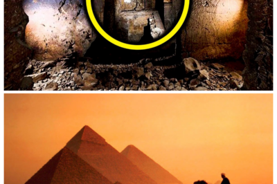 THIS Archaeological Discovery In Egypt Is Gonna SHOCK The World! 10t