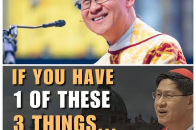 ✨ Cardinal Tagle’s SHOCKING Message: “You’ve Already Been Blessed” — His 3 Hidden Signs Leave Congregations Crying, Skeptics Scoffing, and Believers Clutching Their Hearts as the Quiet Cardinal Drops a Spiritual Bombshell No One Expected 📿 — What sounded like a gentle homily suddenly turned razor-sharp, as Tagle’s soft voice sliced through the silence with clues that felt uncomfortably personal, making people glance at their own lives like crime scenes, wondering if the miracles they begged for had been sitting there all along, unnoticed and dangerously close 👇