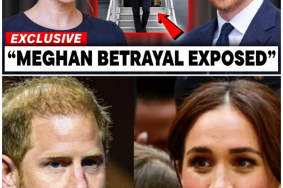 Prince Harry’s Shocking Return: The Betrayal by Meghan That Shattered the Royal Family’s Foundations