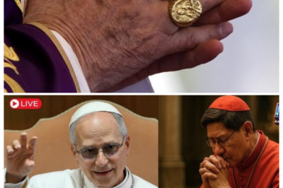 ⚡ PAPAL DEFYING MOMENT: Pope Leo XIV Tore Off His Sacred Ring as the College Pushed Back, and What Followed Was a Cold, Calculated Rebellion That Split Rome Down the Middle — With a narrator’s venomous hush, insiders describe the metallic clink that silenced the chamber, a gesture so loaded it felt like thunder without rain, as power brokers blinked and realized the Pope wasn’t negotiating but daring them to cross a line drawn in centuries of blood, incense, and bruised egos 👇