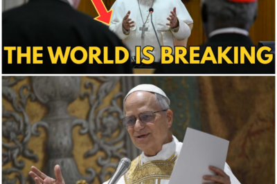 Pope Leo XIV Explains the Crisis of Our Age For Po