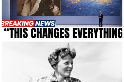 The Expert Who Reviewed Earhart’s Newly Found Wreckage Now Reveals What Was Really Inside