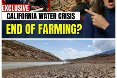 CALIFORNIA WATER CRISIS Farmers FLEE as Wells Run Dry “Nothing Left”