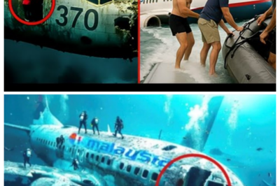 Scientists Terrifying New Discovery Of Malaysian Flight 370 Rewrites History  What if everything we thought about MH three hundred seventy was wrong? In two thousand and twenty five , a shocking discovery deep beneath the ocean floor challenges the official story, revealing secrets that rewrite history and expose a hidden truth no one expected. Stay tuned, this could change everything you believed about the vanished flight.