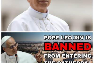 Why Was Pope Leo XIV Allegedly Barred from Entering the Cathedral