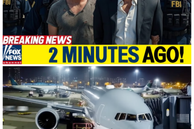 Did FBI & DHS Really Storm a U.S. Airport VIP