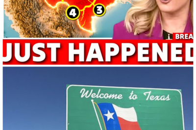 Why Are Federal Officials Reportedly STUNNED by What Newly Released Data in Texas Just Revealed?