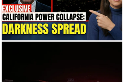 CALIFORNIA POWER COLLAPSE Governor PANICS as Rolling Blackouts Hit “No End In Sight”