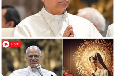 Pope Leo XIV Says the Virgin Mary Was Misunderstood for Centuries—The Vatican Is in Complete Chaos