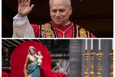 URGENT: The Virgin Mary Wept — A Message Before Christmas That Will Change Everything | Pope Leo XIV