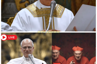 💥POPE LEO XIV TRIGGERED AN URGENT VIRTUAL SYNOD—AND DEEP DIVISIONS EXPLODED ACROSS THE VATICAN! In an unprecedented move, Pope Leo XIV called for an urgent virtual synod, and what followed was nothing short of explosive. As deep divisions erupted among the Church’s highest leaders, tensions boiled over in a dramatic display of power struggles and disagreements. What caused this intense rift within the Vatican, and how will it shape the future of Catholicism? Get ready for a revelation that will leave you questioning the stability of the papacy itself. 👇