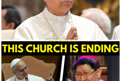 💥CARDINALS ACCUSE POPE LEO XIV OF BREAKING SACRED LAW—HIS REPLY LEAVES THEM VISIBLY SHAKEN! In an explosive confrontation, Cardinals have accused Pope Leo XIV of breaking sacred Church law, but what came next left them stunned. The Pope’s reply, delivered with calm authority, was so powerful and unapologetic that it left the Cardinals visibly shaken. What did Pope Leo XIV say that had such a profound impact, and how will this accusation change the future of the Vatican? The fallout from this stunning exchange is far more dramatic than you could ever have imagined. 👇