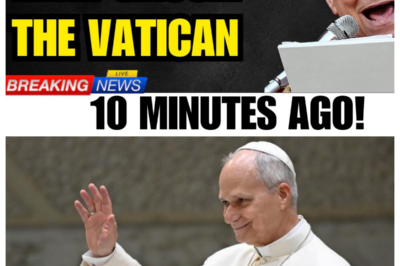 Pope Leo XIV Read a Prophecy From the Desert—And the Church Fell Into Chaos Overnight