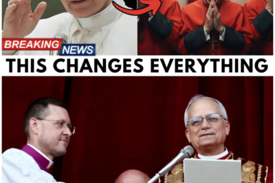 Pope Leo XIV Calls For An END To CONFESSION In The Catholic Church And SHOCKS Bishops!