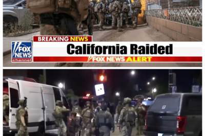 1 MIN AGO: FBI & ICE Ra1d Mal1bu Lawyer 1n Cal1f0rn1a — $23M Secret Cartel Tunnel EXPOSED