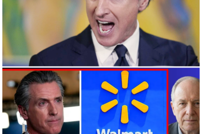 🐘 “Walmart CEO Under Fire: Explosive Response to California Store Shutdowns! 🔥”  With California stores shutting down quietly, the CEO of Walmart has come forward to address the backlash, but is it too little too late? “When the lights go out in the aisles, the questions start pouring in!” Will his explanation ease the tension, or will it fuel the flames of discontent among shoppers and employees alike? 👇
