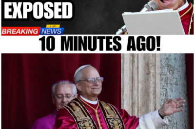 Pope Leo XIV REVEALS Vatican’s DARKEST SECRET—Cardinal Burke Was LEFT IN TEARS After This!