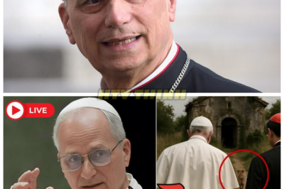 💥 Pope Leo XIV and Cardinal Tagle Follow a Stray Dog — What They Found in the Forgotten Chapel Will STUN You! 💥 Pope Leo XIV and Cardinal Tagle’s innocent stroll took an unexpected turn when they followed a stray dog straight into a forgotten chapel. What they uncovered inside was so shocking, so mysterious, it could change everything we thought we knew about the Vatican’s hidden history. The truth behind this discovery is more terrifying than you could imagine. 👇