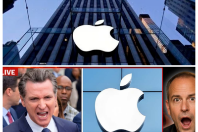 🍎 GOVERNOR OF CALIFORNIA PANICS AS APPLE SIGNALS QUIET EXIT — TECH TITAN’S SECRET PACKING LIST LEAKS AND SACRAMENTO GOES INTO FULL MELTDOWN 💥 What started as a “routine restructuring” turns into a political horror show as whispers of server farms dismantled and engineers relocating spread like wildfire, leaving the governor blindsided, aides scrambling, and critics calling it the biggest corporate breakup since Silicon Valley was born, a slow, humiliating unraveling broadcast live while the state’s crown jewel slips out the back door 👇