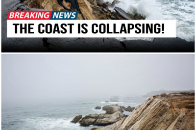 😱 Uplift or Downfall? The Shocking Truth About California’s Changing Landscape! 😱 – HTT