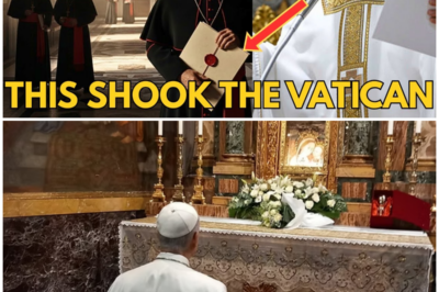 Pope Leo XIV Declares: ‘The Virgin Mary Was Misunderstood’ — The Vatican Erupts’