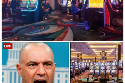 Joe Rogan Reveals Why Las Vegas Is EMPTY — The Truth No One Talks About