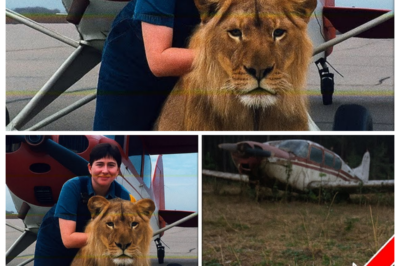 Woman Vanished in Her Plane in 1988 – 20 Years Later, Investigators Made a Chilling Discovery…