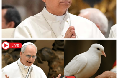 Pope Leo XIV Held Out His Hand… And A Dove Landed Inside the Basilica