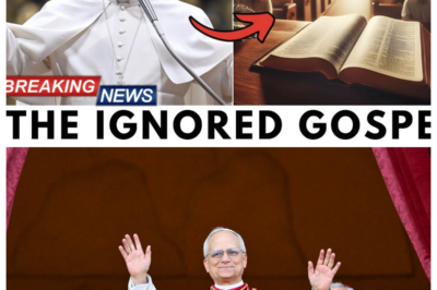 Pope Leo XIV Declares the Church Has Been Preaching a False Redemption