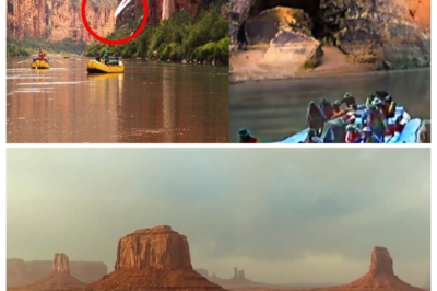 The Grand Canyon Discovery That is CREEPING The Entire Internet Out!