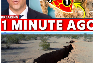 Seismologists Are Calling EMERGENCY Meetings After Mysterious Cracks Split Open Arizona Desert!