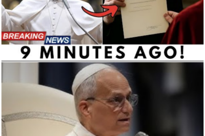 🦊 “THE ROOM HELD ITS BREATH”: Pope Leo XIV Pauses for 6 Seconds While Reading the Third Secret—Then Drops a Bombshell ⛪⚠️