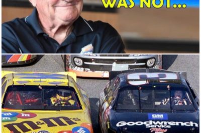 Dale Earnhardt’s Last Moments: What Ken Schrader Saw Inside That Car Will Haunt Racing Forever