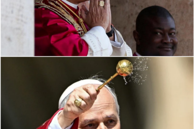 💥 Pope Leo XIV Unveils 15 Groundbreaking Reforms That Could Change the Church Forever