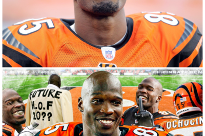 🐘 The Vibrant Legacy of Chad Ochocinco: How One Bengal Changed the Game Forever! 🌟 “Football is more than just a game; it’s a show!” Chad Ochocinco, known for his electrifying plays and exuberant personality, turned the Cincinnati Bengals into must-watch television. From his outrageous touchdown celebrations to his candid moments off the field, he redefined what it means to be an NFL player. Discover the impact of Ochocinco’s vibrant legacy on the game and its fans! 👇